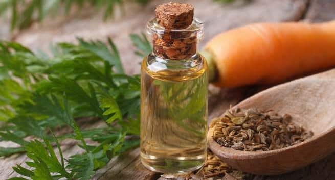 Health improvements of carrot seed essential oil