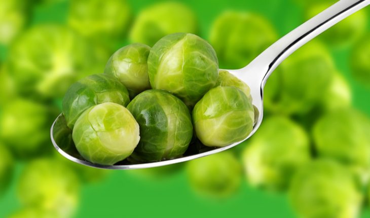 Brussels sprouts could contain the answer to treating Alzheimer's