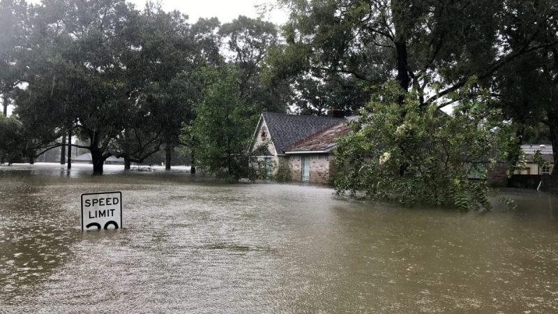 Free On-Demand Virtual Medical Services Now Available To Texans Affected By Hurricane Harvey